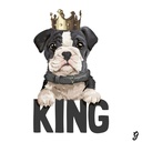 Camiseta Perro King