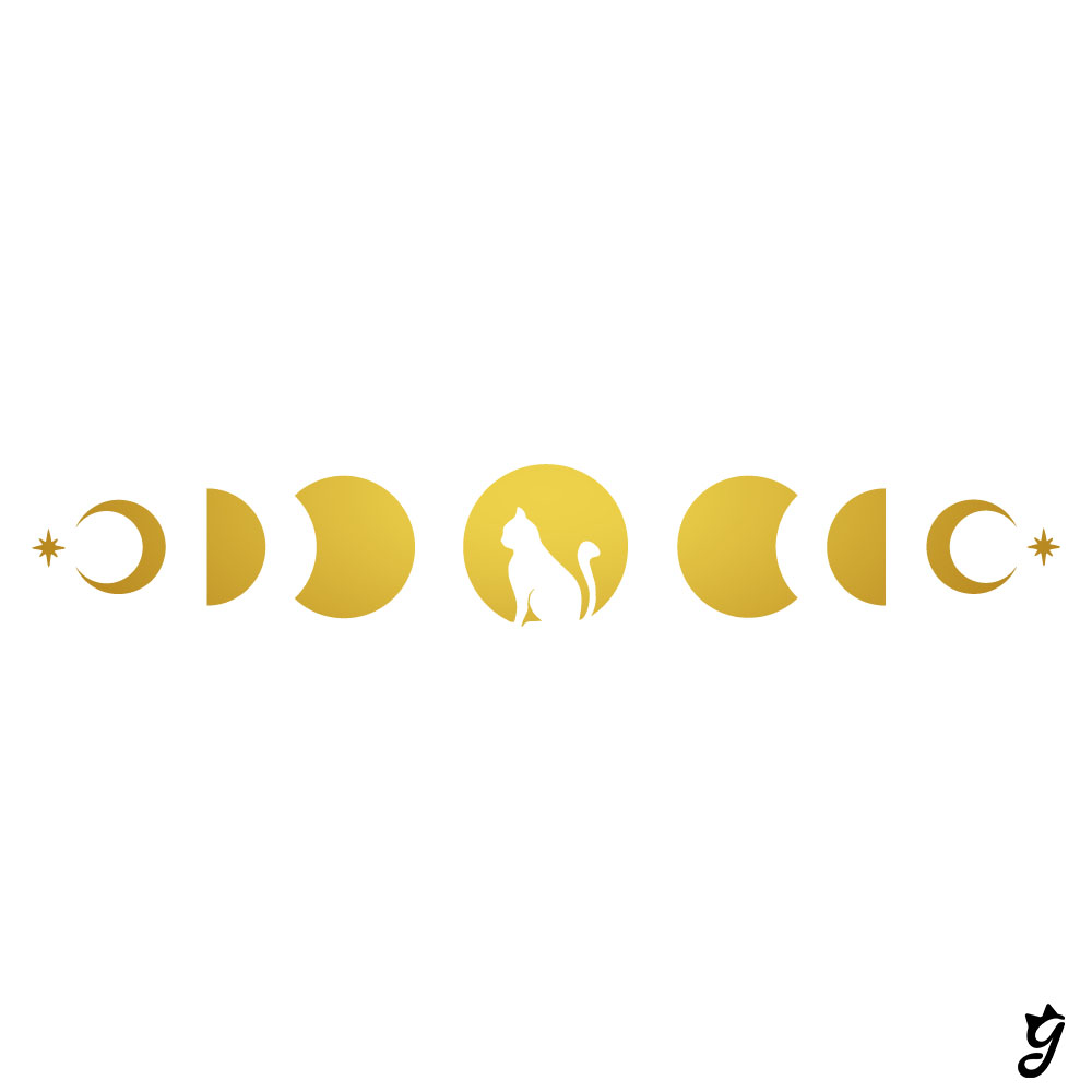 Camiseta Fases Lunares Con Gatito